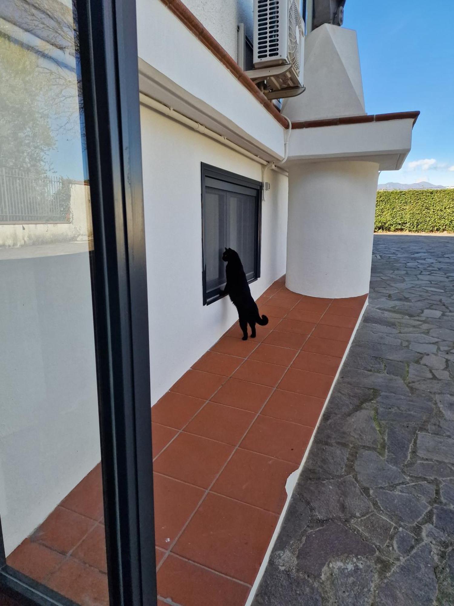Villa Mandetta B&B Santo Stefano del Sole Eksteriør bilde
